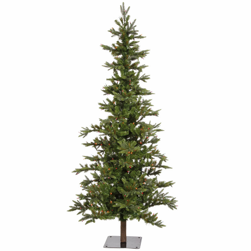 7' x 44" Shawnee Fir Tree