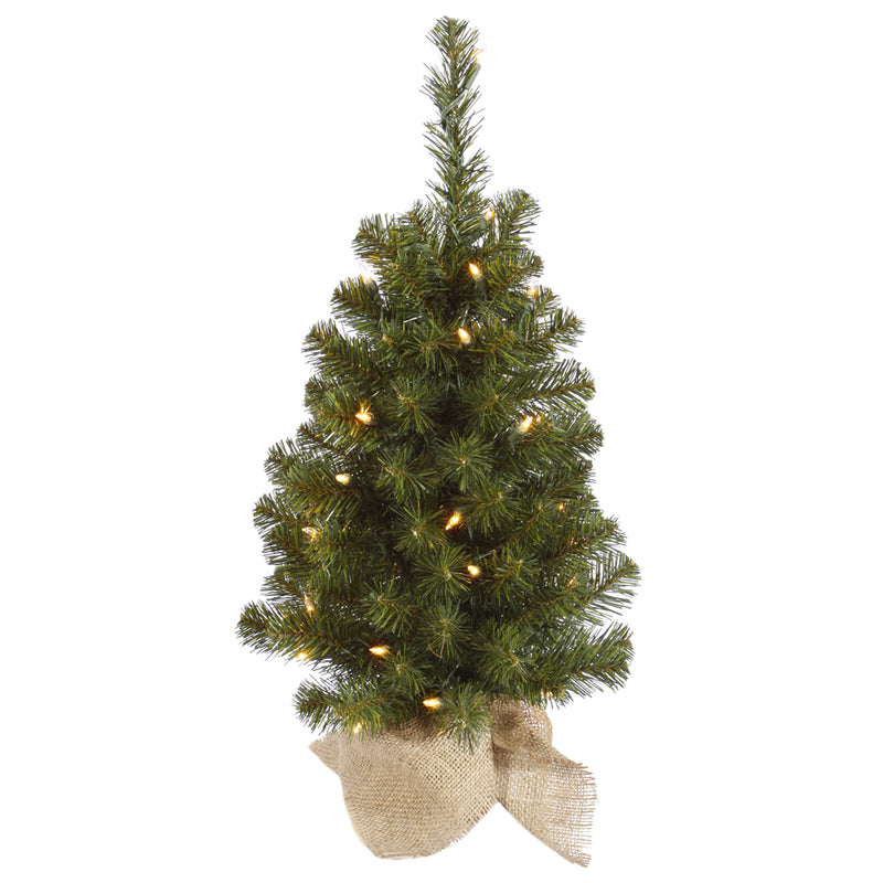 24" x 14" Felton Pine Tabletop Tree