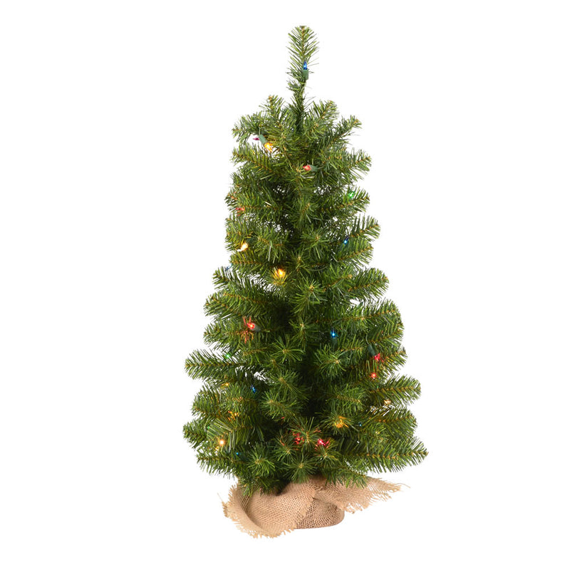 30" x 16" Felton Pine Tabletop Tree