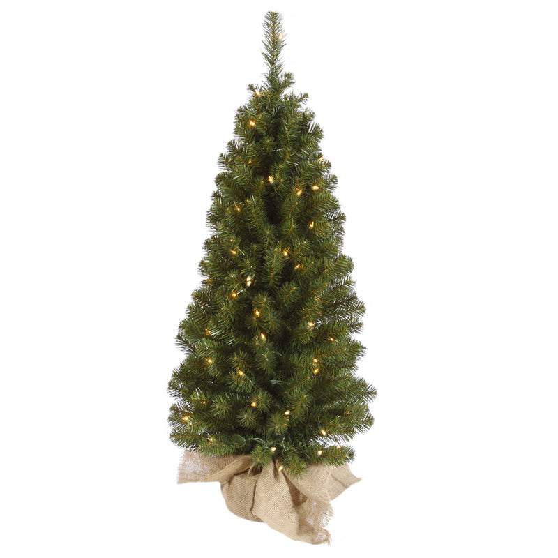 42" x 20" Felton Pine Tabletop Tree