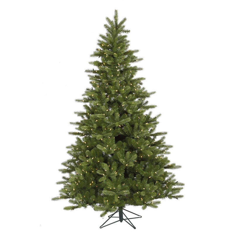 14' X 95" King Spruce Tree