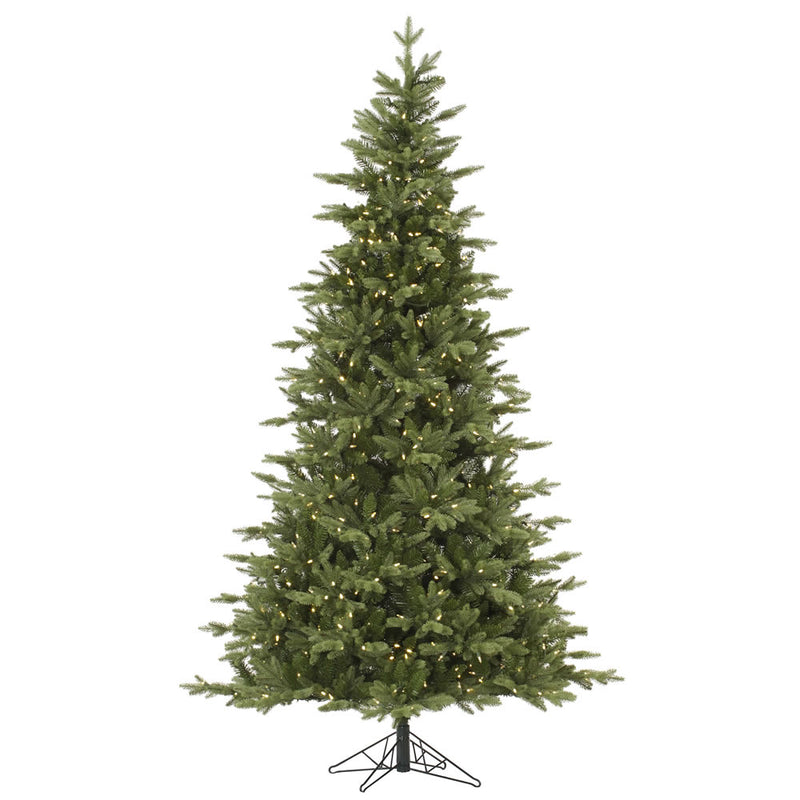 14' x 94" Fresh Balsam Fir Tree