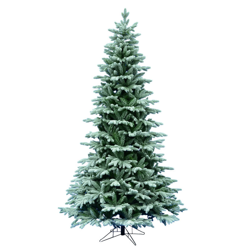 14' x 94" Frosted Balsam Fir Tree