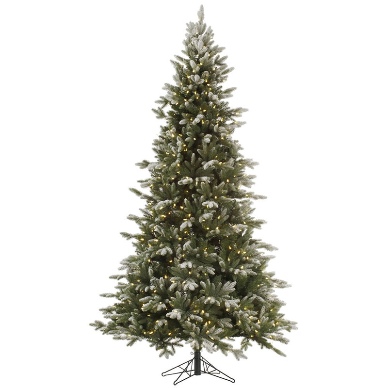 6.5' x 45" Frosted Balsam Fir Tree