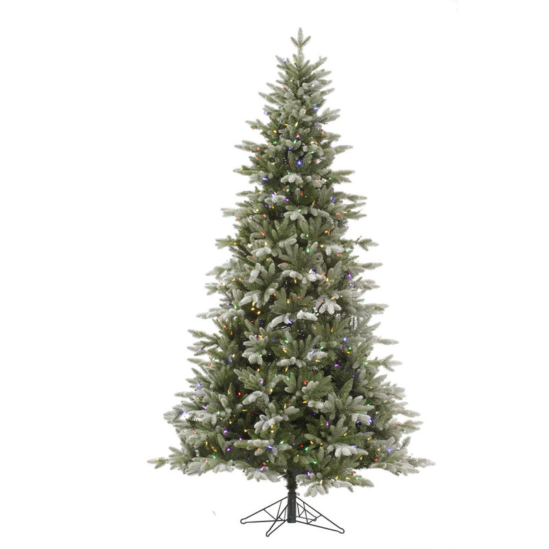 10' x 72" Frosted Balsam Fir Tree