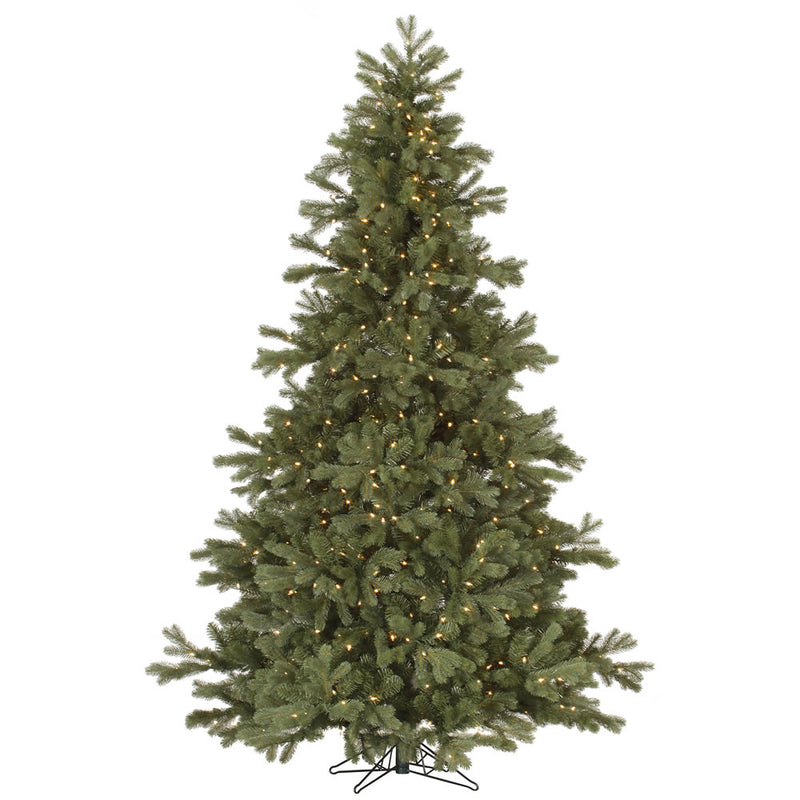 14' x 107" Frasier Fir Tree