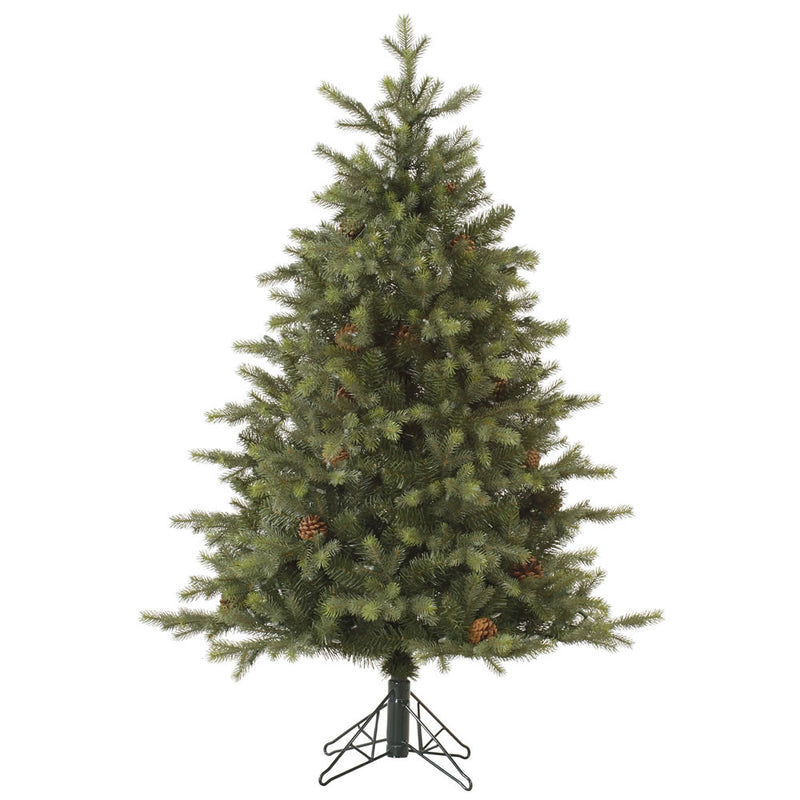 10' x 85" Rocky Mountain Fir Tree