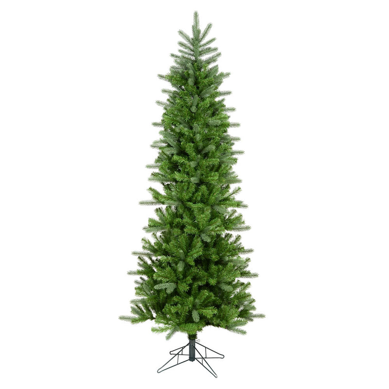 12' x 52" Carolina Pencil Spruce Tree