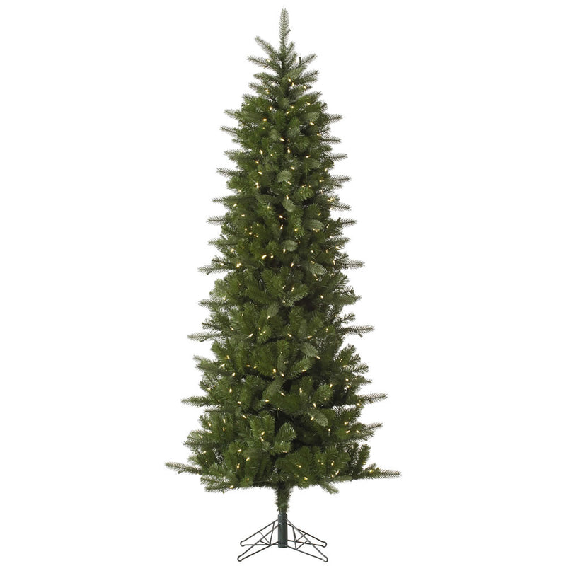 6.5' x 34" Carolina Pencil Spruce Tree