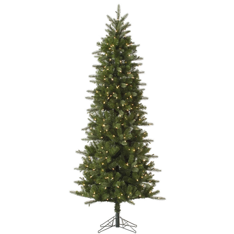 12' x 52" Carolina Pencil Spruce Tree