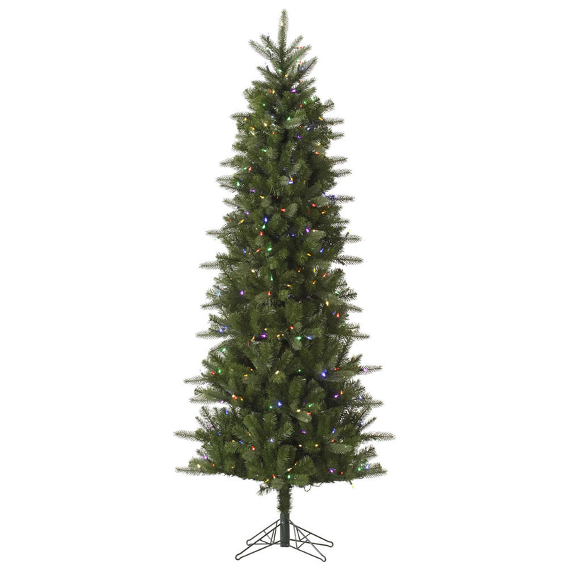 6.5' x 34" Carolina Pencil Spruce Tree