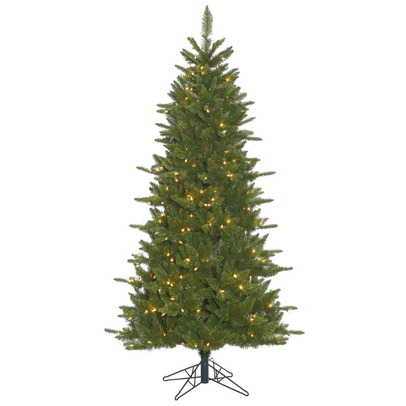 5.5' x 37" Slim Durango Spruce Tree