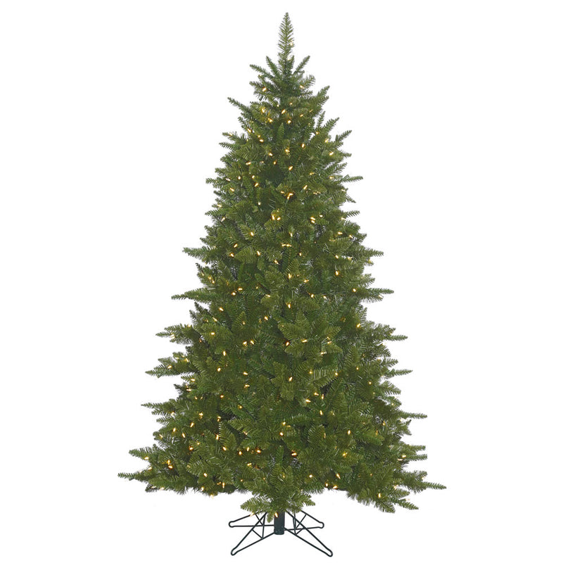 12' x 80" Durango Spruce Tree