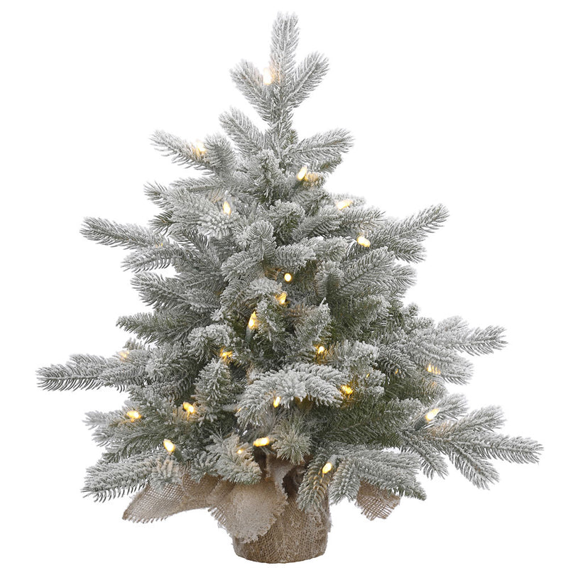 24" x 24" Frosted Sable Pine Tabletop Tree