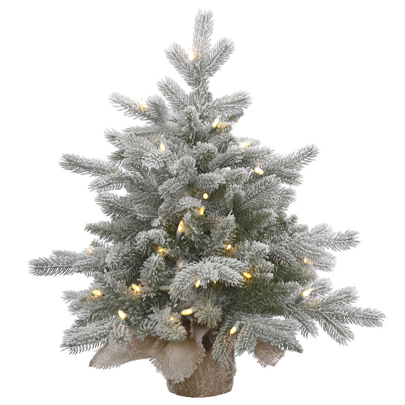 24" x 24" Frosted Sable Pine Tabletop Tree