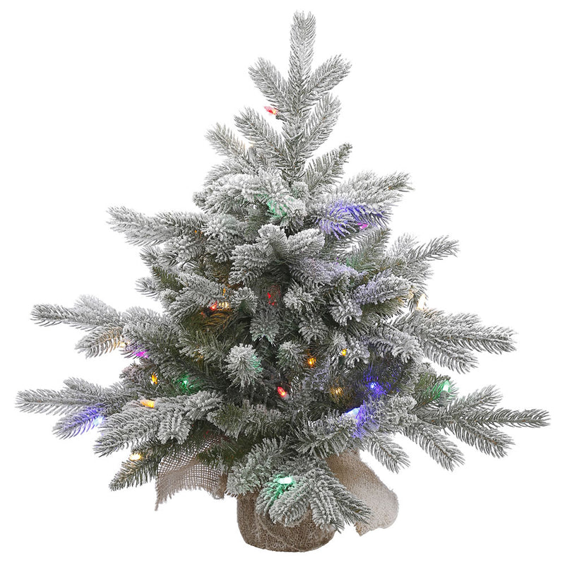 24" x 24" Frosted Sable Pine Tabletop Tree