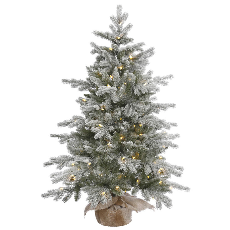 48" x 32" Frosted Sable Pine Tabletop Tree