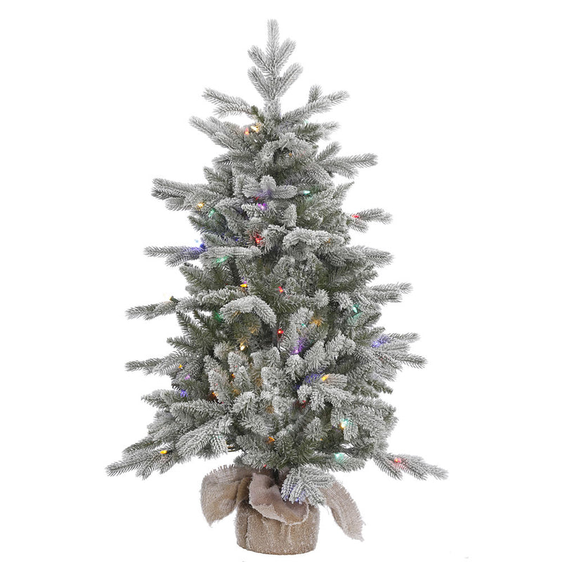 48" x 32" Frosted Sable Pine Tabletop Tree