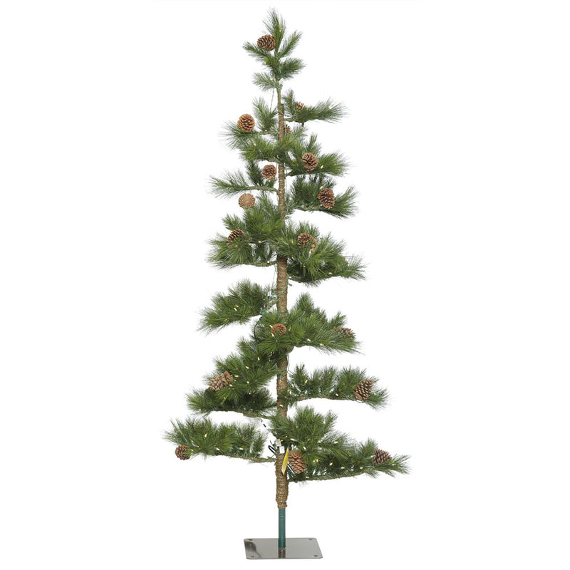 9' x 50'' Mountain Pine Tree