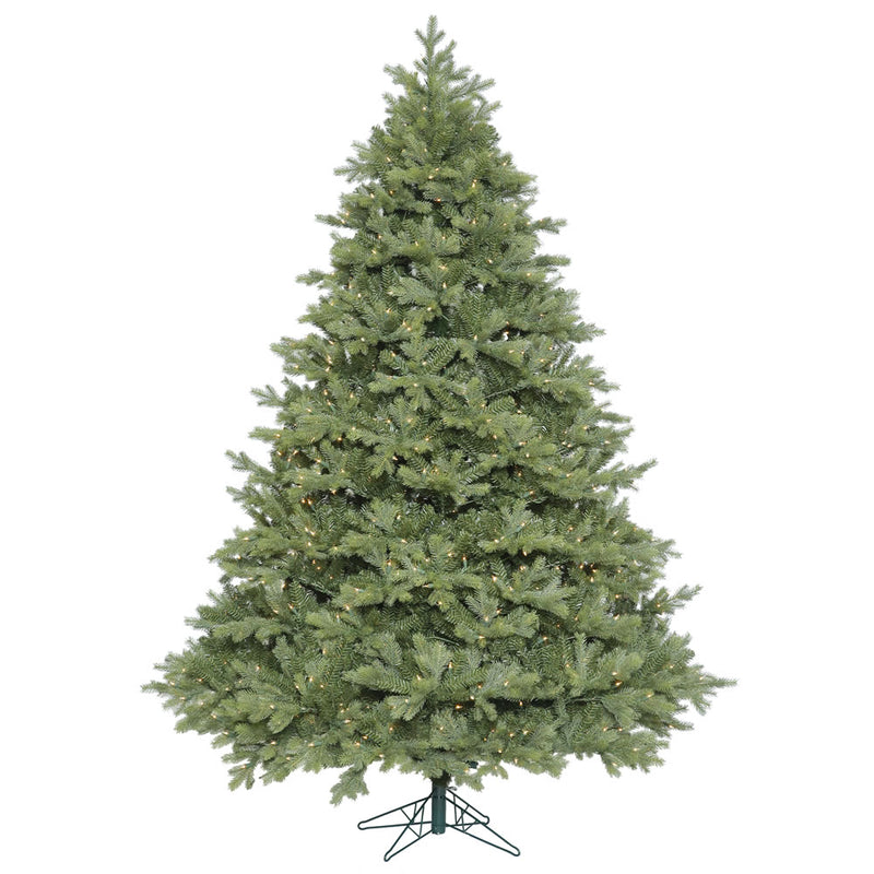 12' x 95'' Idaho Frasier Fir Tree