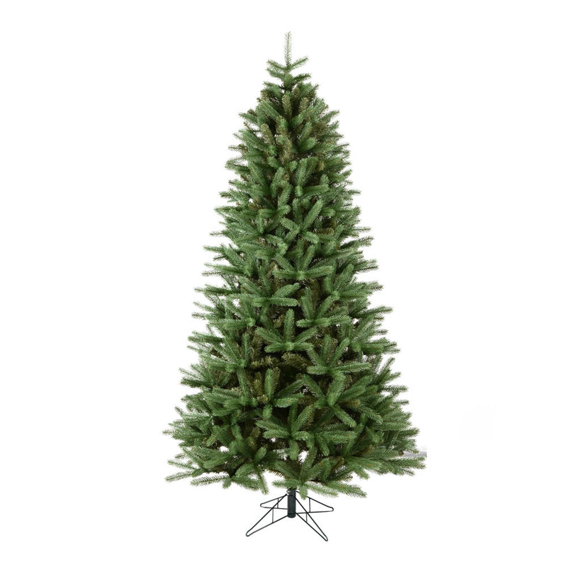 12' x 80'' Slim Colorado Spruce Tree