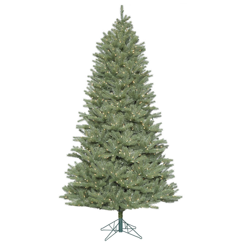 5.5' x 40'' Slim Colorado Spruce Tree