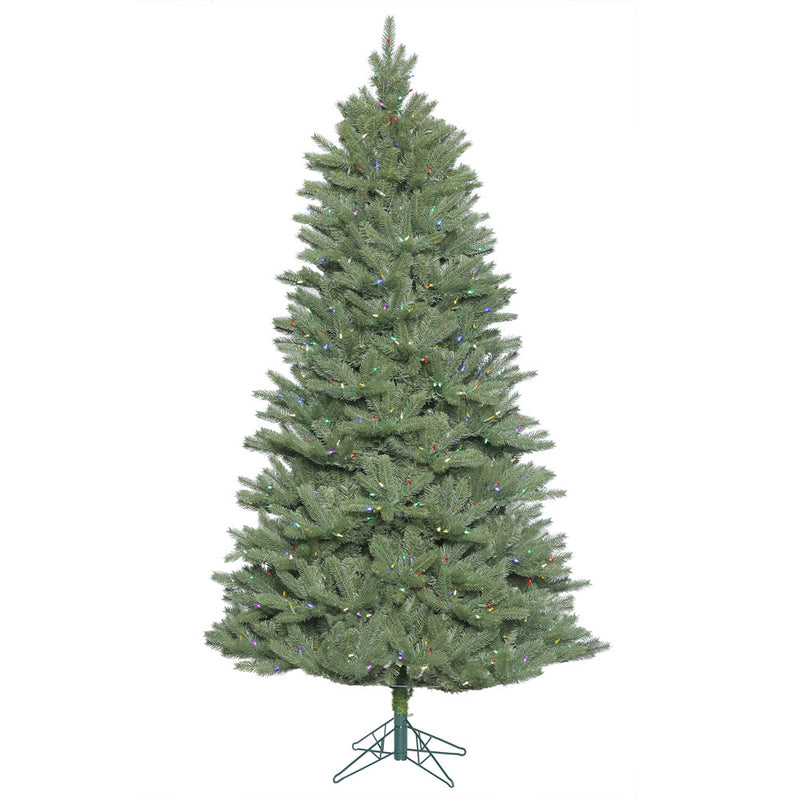 12' x 80'' Slim Colorado Spruce Tree