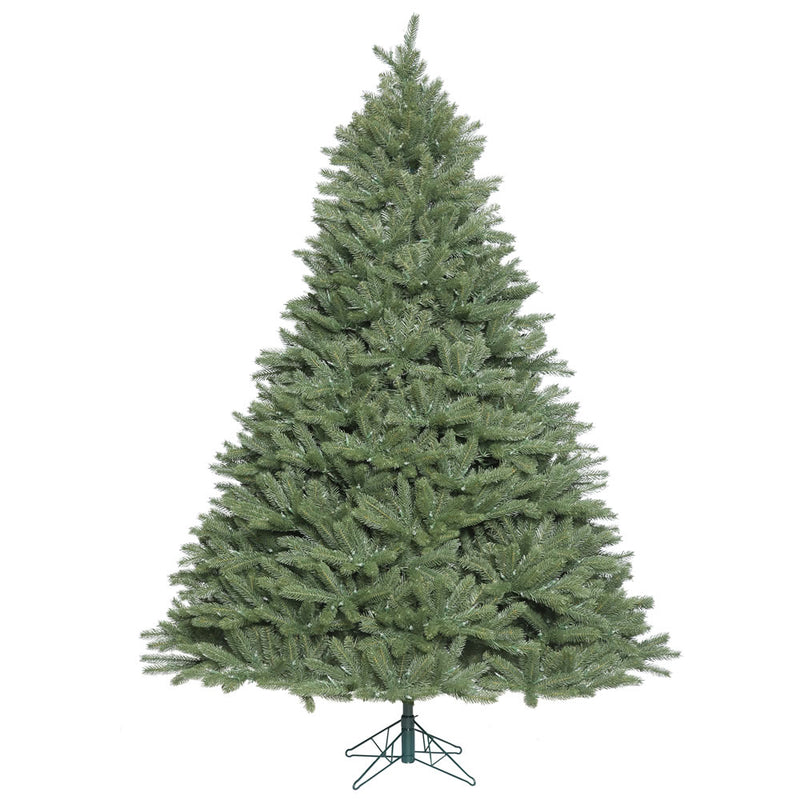 7.5' x 65'' Colorado Spruce Tree