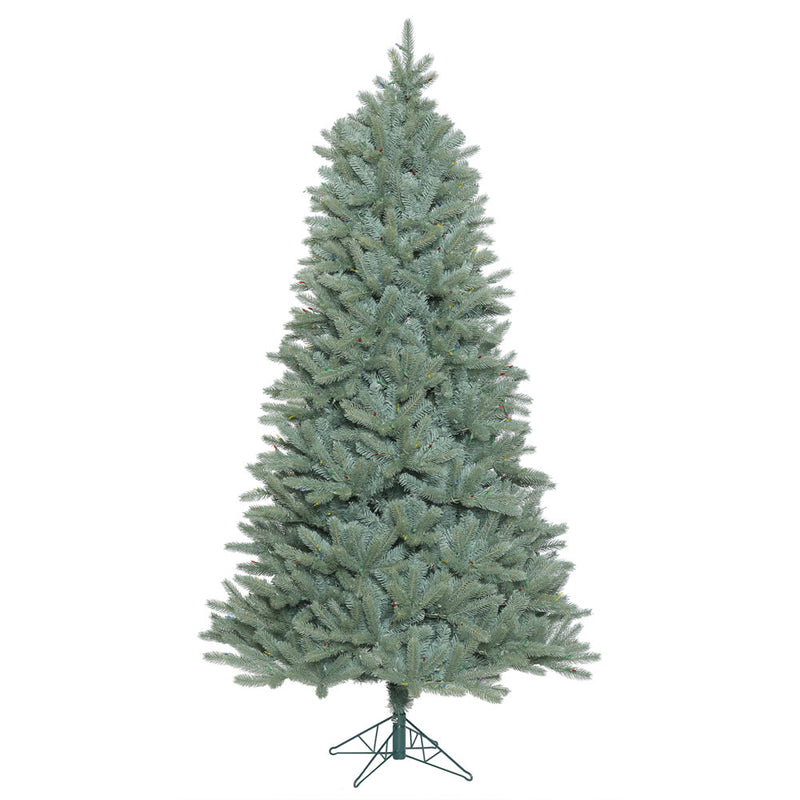 10' x 68'' Slim Colorado Blue Spruce Tree