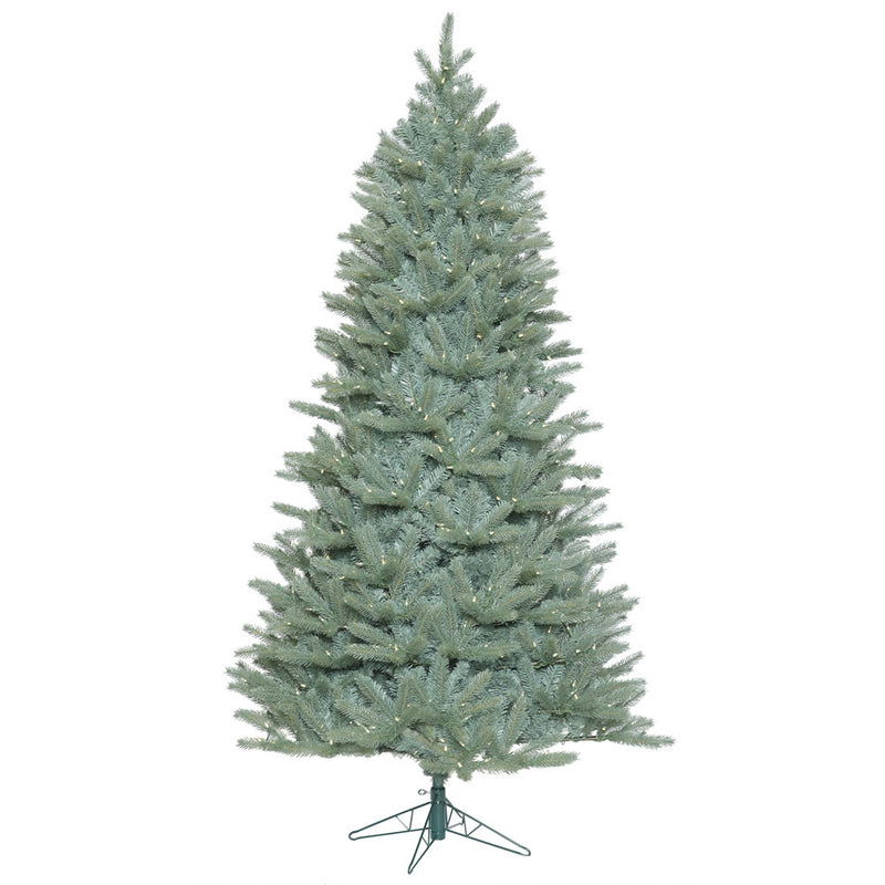 7.5' x 51'' Slim Colorado Blue Spruce Tree