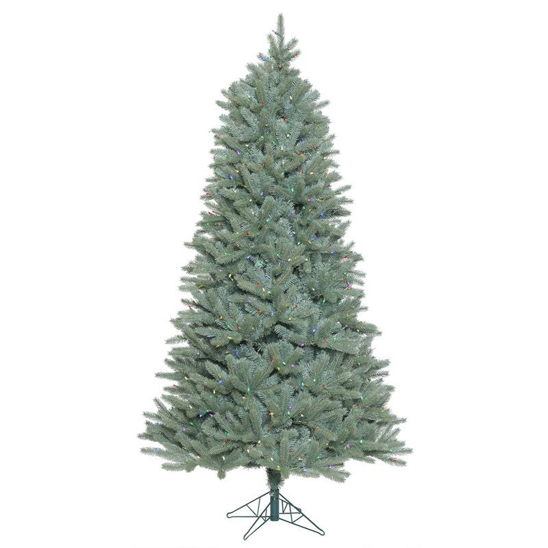 5.5' x 40'' Slim Colorado Blue Spruce Tree