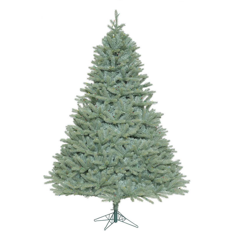 7.5' x 65'' Colorado Blue Spruce Tree