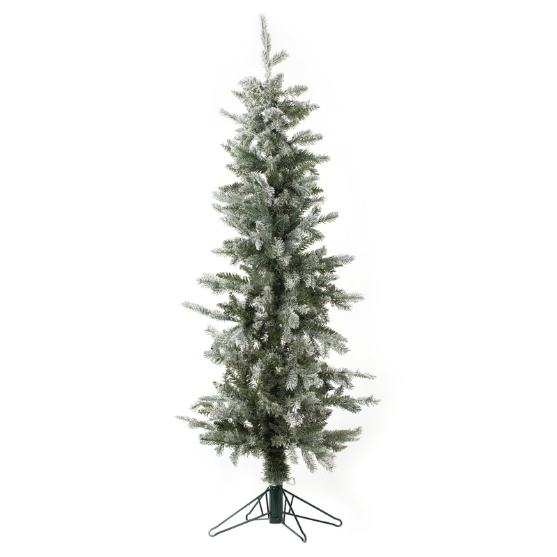 5' x 23" Frosted Tannenbaum Pine 294 Tips