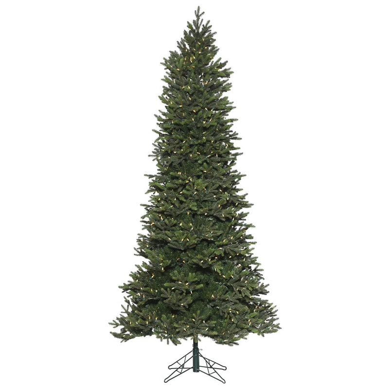 9' x 55'' Hudson Spruce Tree