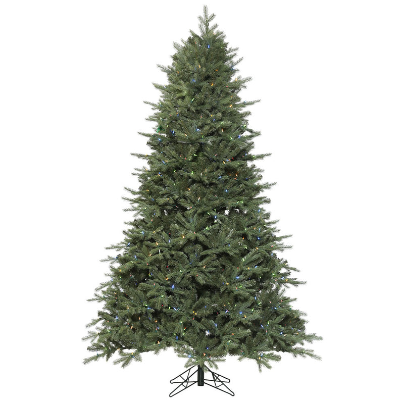 7.5' x 60'' Denver Spruce Tree