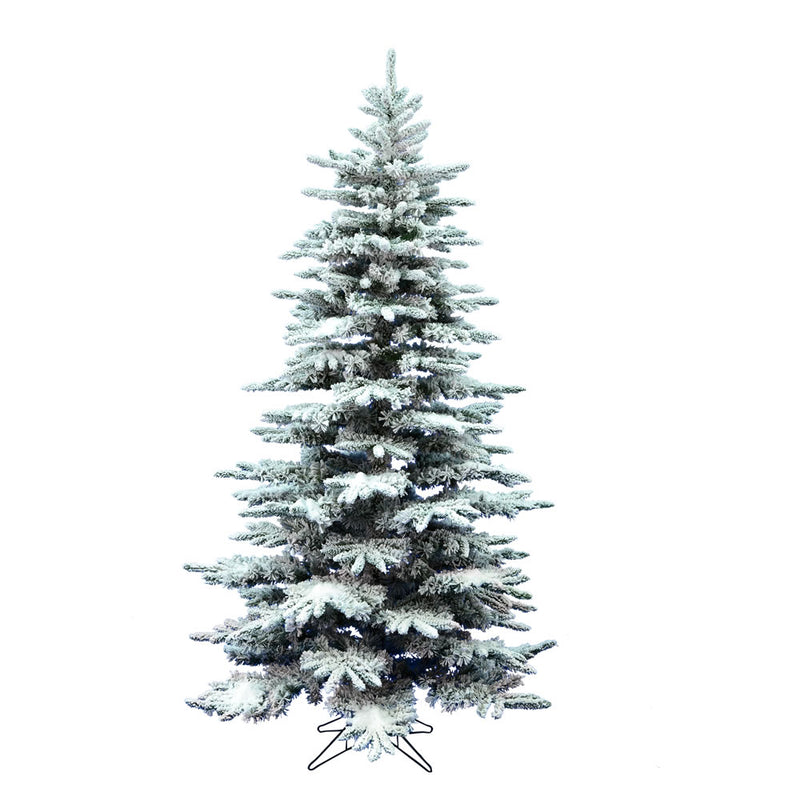 7' x 50" Flocked Rushden Fir Tree