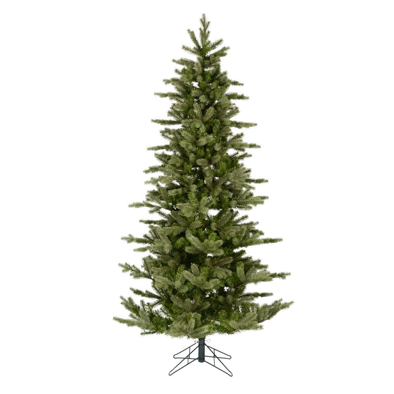 6' x 40" Kippen Spruce Tree