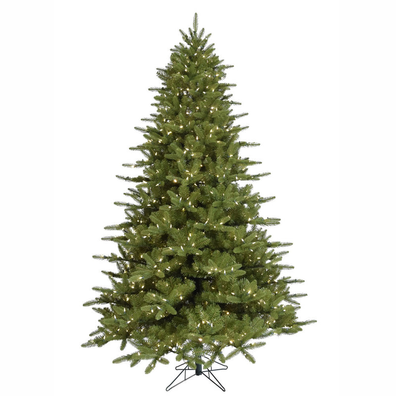 14' x 97" Langhorne Spruce Tree