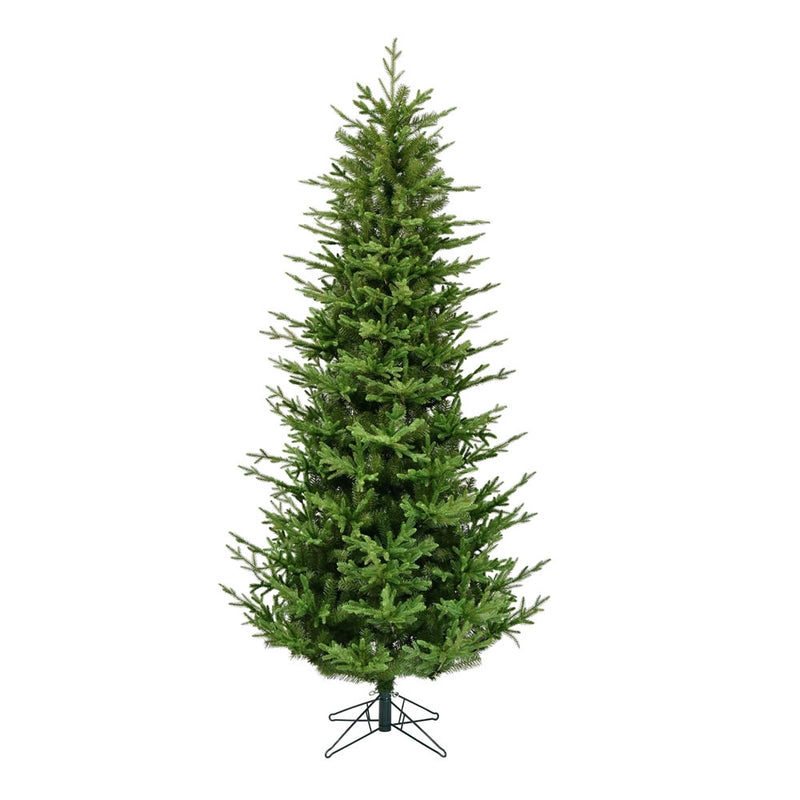 14' x 78" Hoboken Frasier Fir Tree