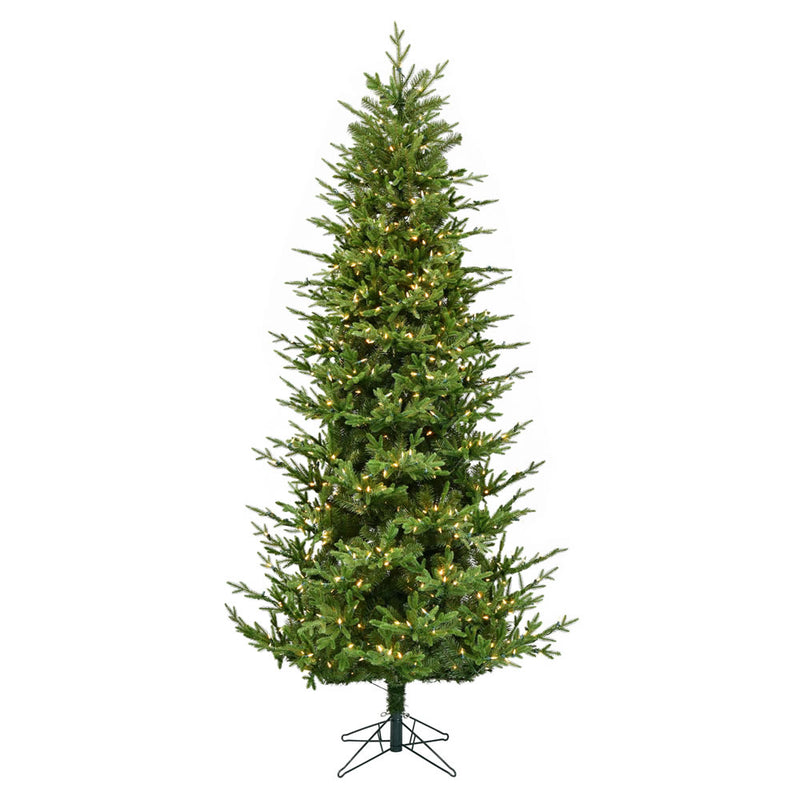 12' x 68" Hoboken Frasier Fir Tree