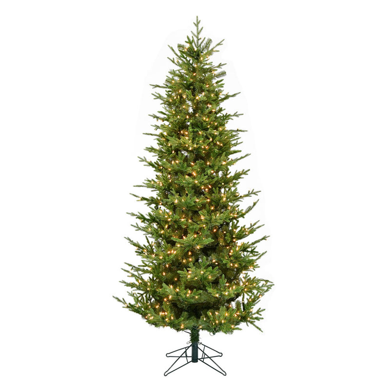 14' x 78" Hoboken Frasier Fir Tree