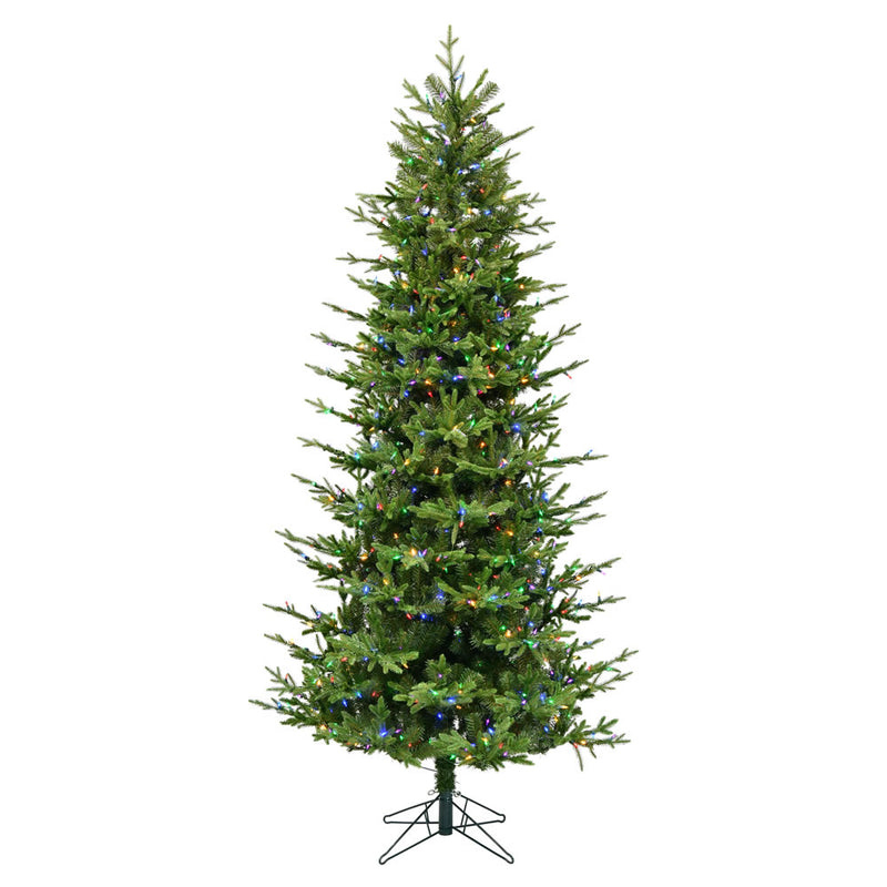 12' x 68" Hoboken Frasier Fir Tree