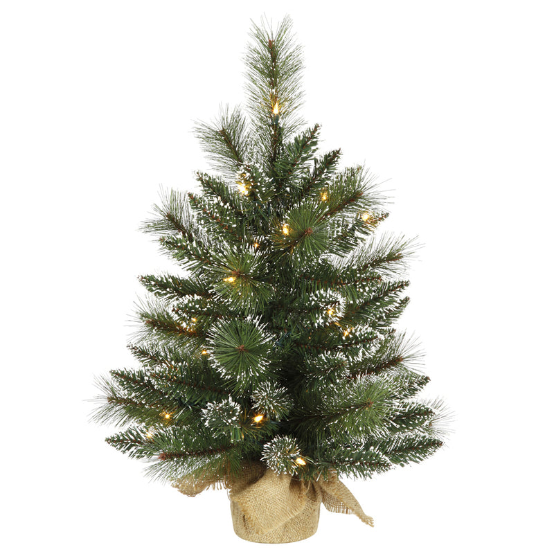 2' x 16" Mixed Snow Tip Pine Tabletop Tree