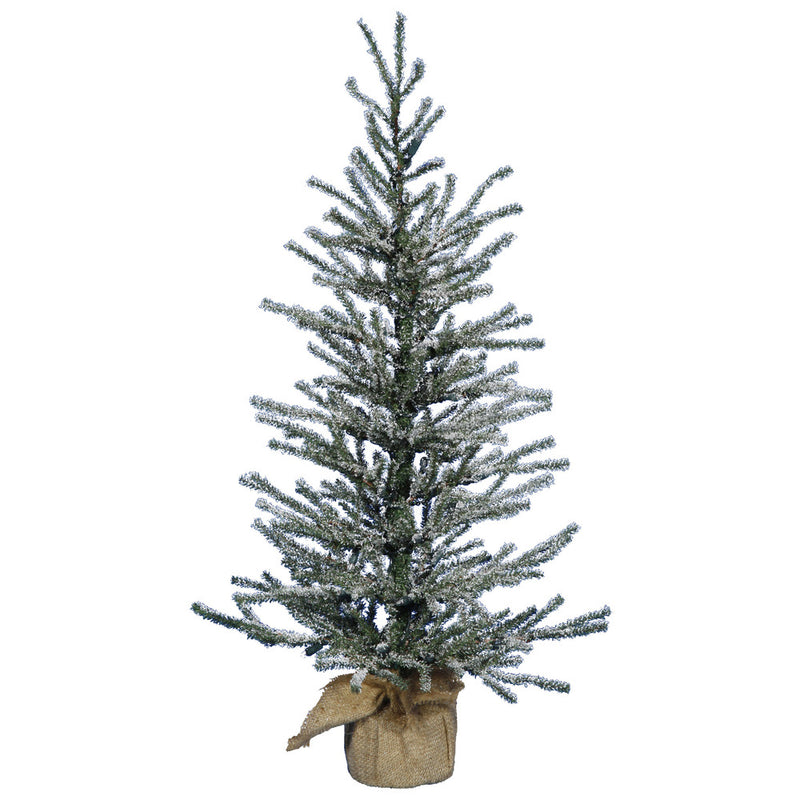 24" x 14" Frosted Angel Pine Tabletop Tree