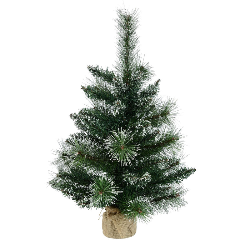 2' x 16" Mixed Snow Tip Pine Tabletop Tree