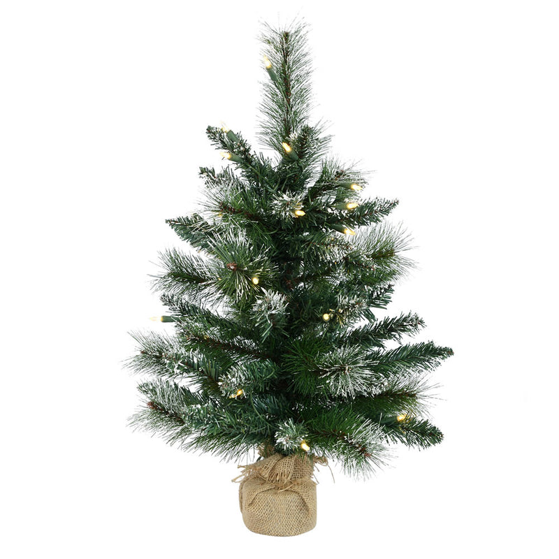 2' x 16" Mixed Snow Tip Pine Tabletop Tree