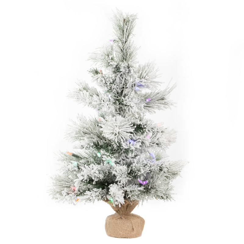 24" x 15" Flocked Kersey Pine Tabletop Tree