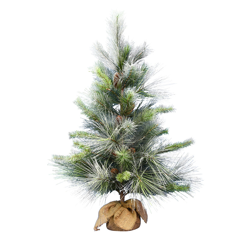 Frosted Myers Pine Tabletop Tree with Burlap Base