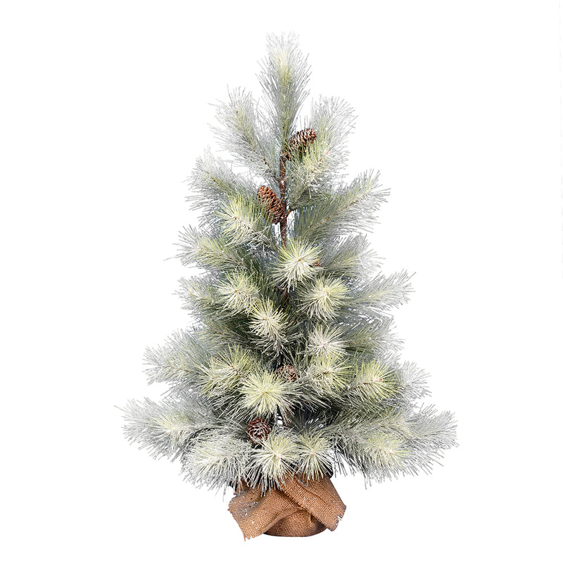 Norfolk Frosted Pine Tabletop Tree with Burlap Base