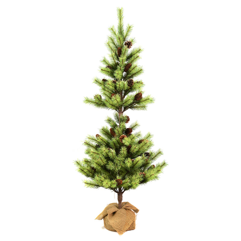 Austrian Pine Tabletop Tree with Burlap Base